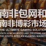 深入解析:百家乐经典走势图分析实例-体育博彩论坛-体育投注策略网